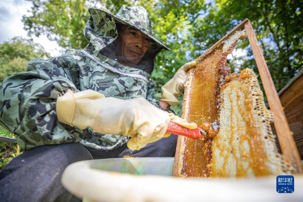 金钱豹vip贵宾相信你
